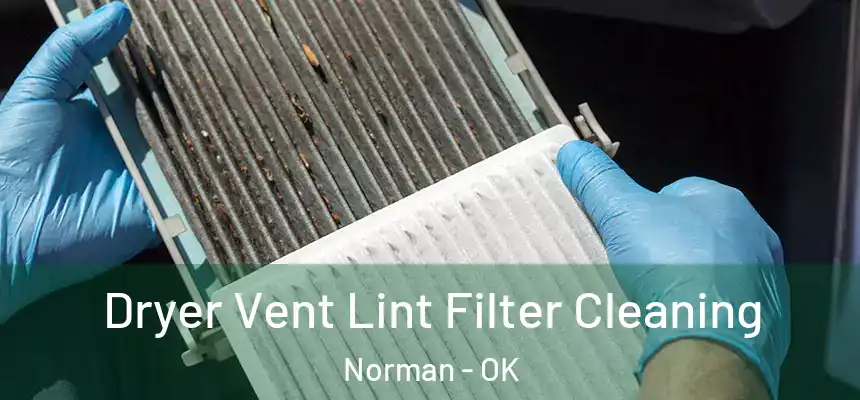 Dryer Vent Lint Filter Cleaning Norman - OK