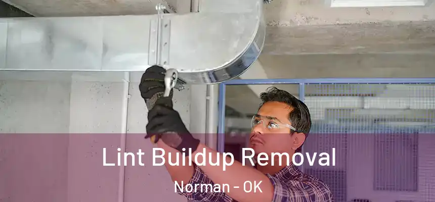 Lint Buildup Removal Norman - OK